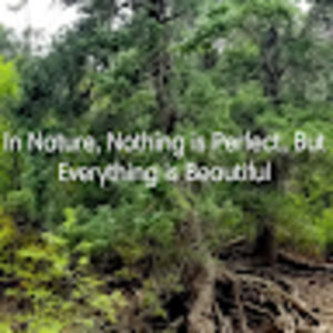 Meet your Posher, Andréa